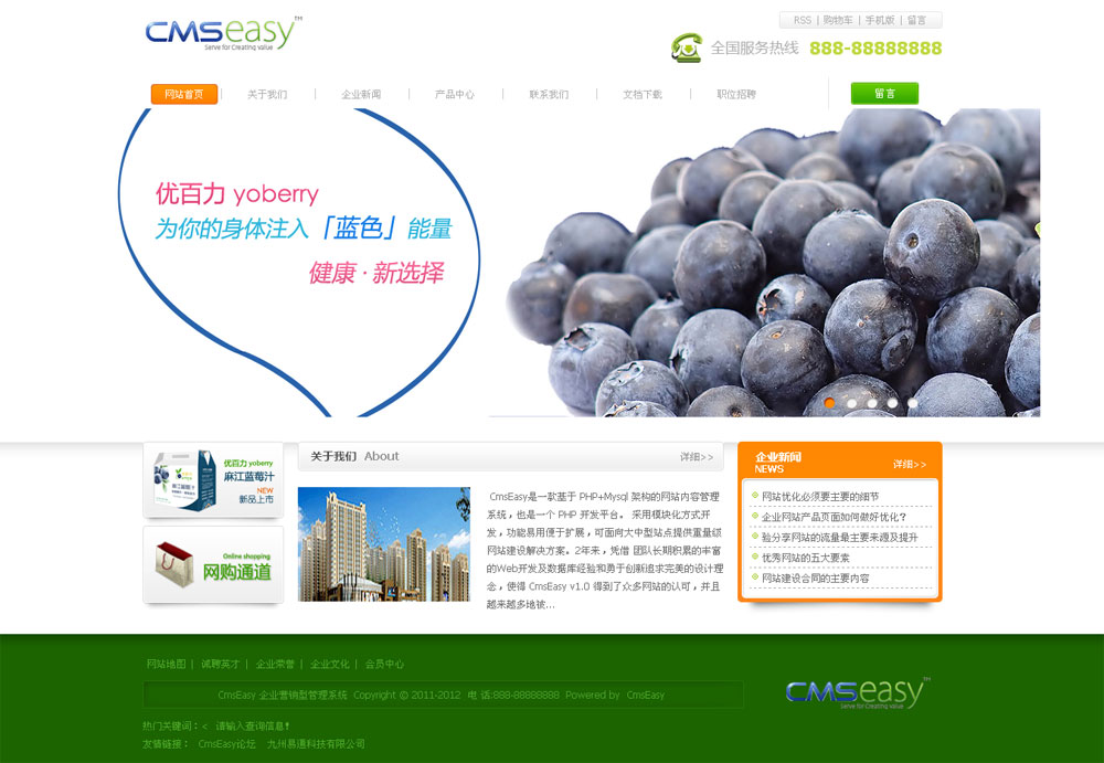 漂亮的藍莓水果公司網(wǎng)站模板